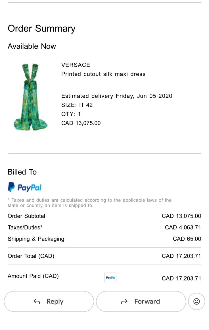NWT Versace Spring/Summer 2020 Runway JLo Jungle Print Silk Gown IT 42 US 6