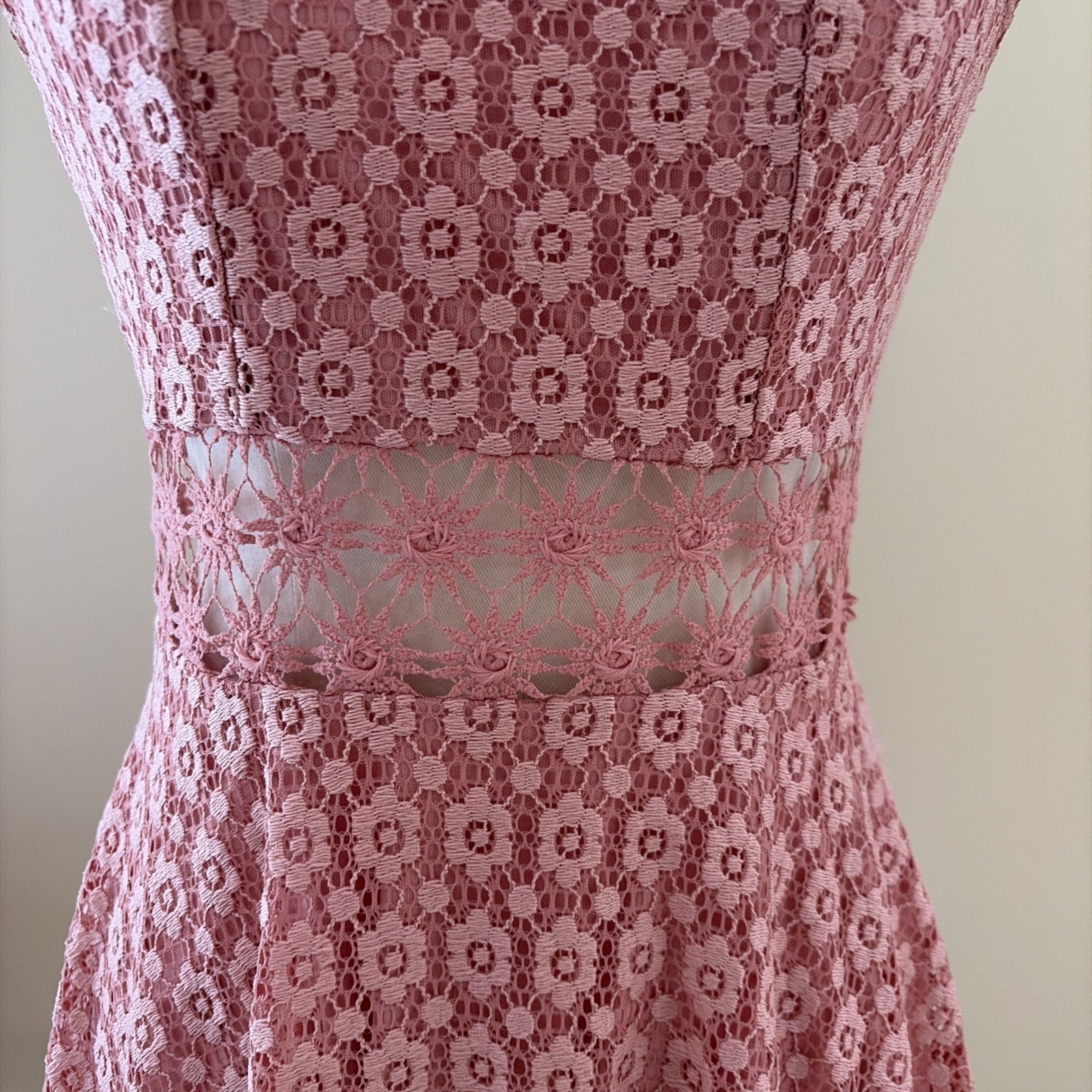 Iris Lace Fit & Flare Skater Mini Dress Size S Pink Sheer Floral Feminine Fairy