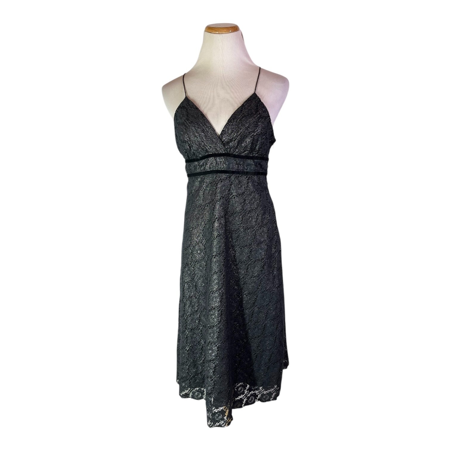 The Limited Size 4 Sleeveless Dress Strappy Tie Straps Metallic Lace