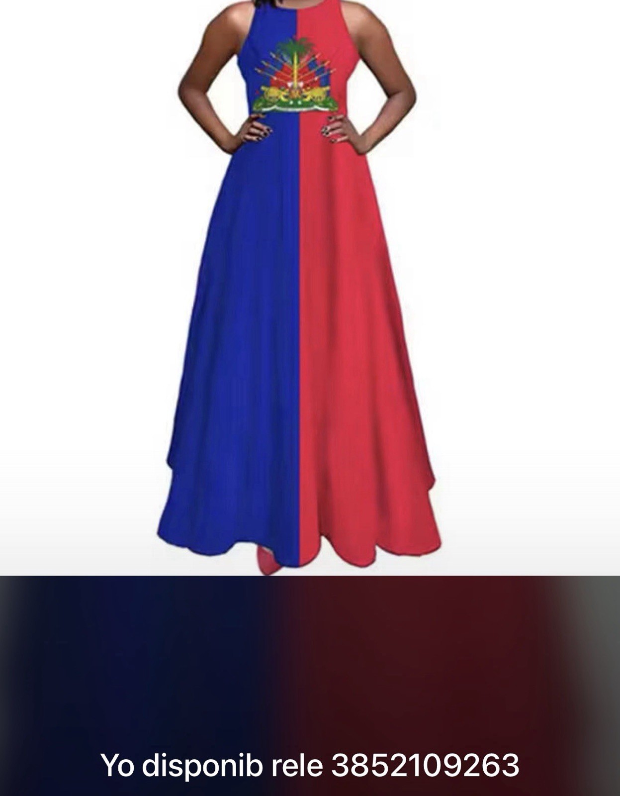 Women’s Sleeveless Maxi Dress Round Neck Long Blue Red Colorblock Graphic Print