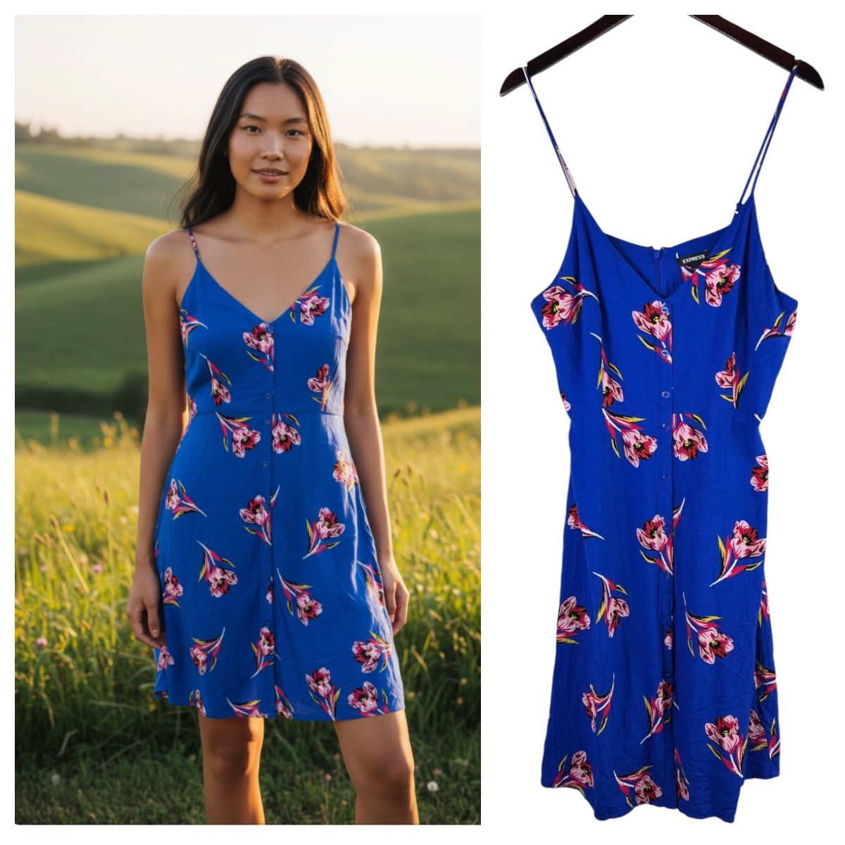 Express Sundress Dress Sz XL 14 16 Blue Pink Floral Cottage Romantic Slvss f