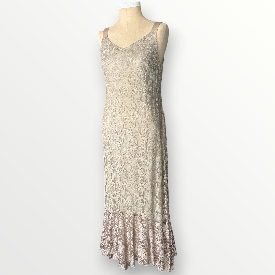 VTG Spencer Alexis Full Lace Metallic Romance Whimsy Silk Blend Formal Gown 2XLP