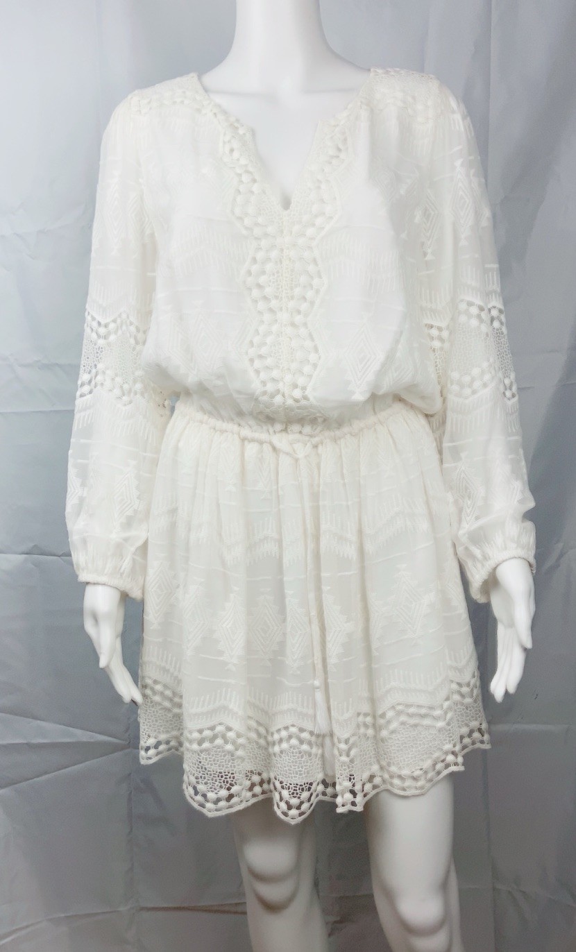 Joie Bittern Porcelain Embroidered Silk & Lace Dress Size Medium Blouson Mini