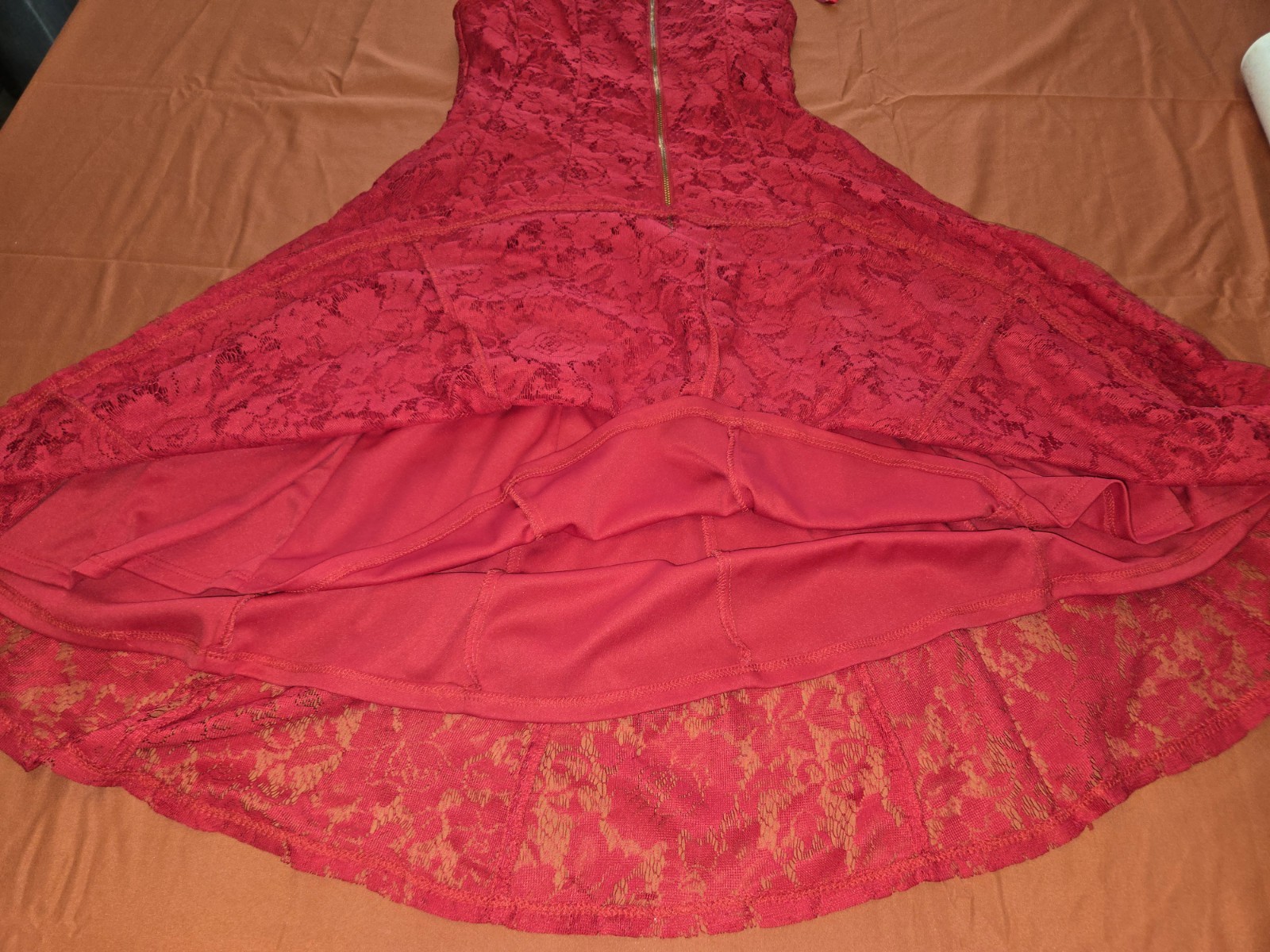 Roz&Ali Red Lace Sleeveless A-Line Floral Dance