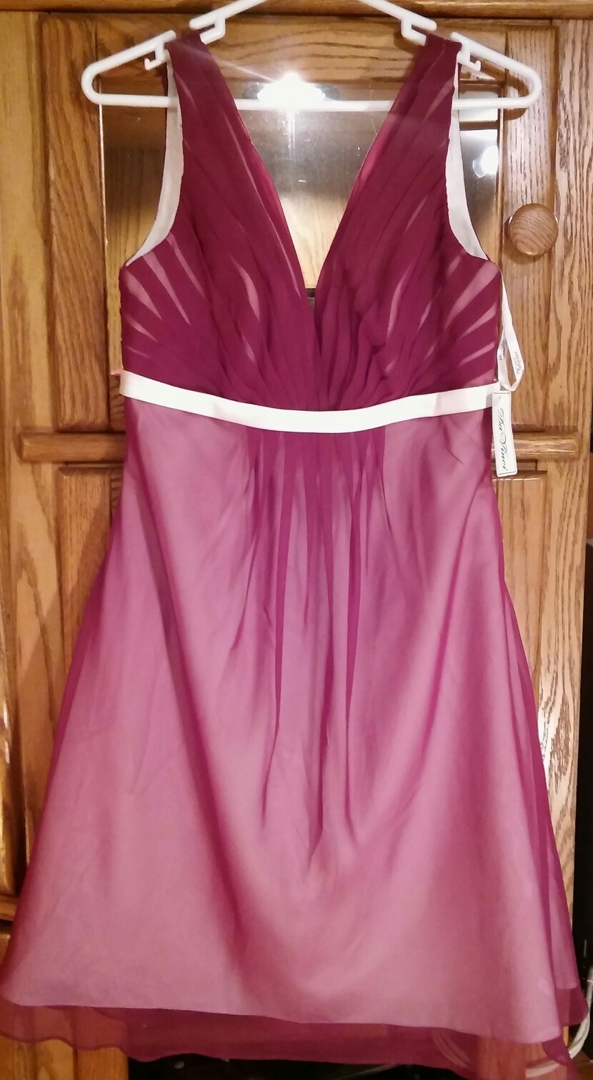 DAVINCI BERRY/IVORY BRIDESMAID PROM DANCE FORMAL EVENT GOWN NWT SIZE 12