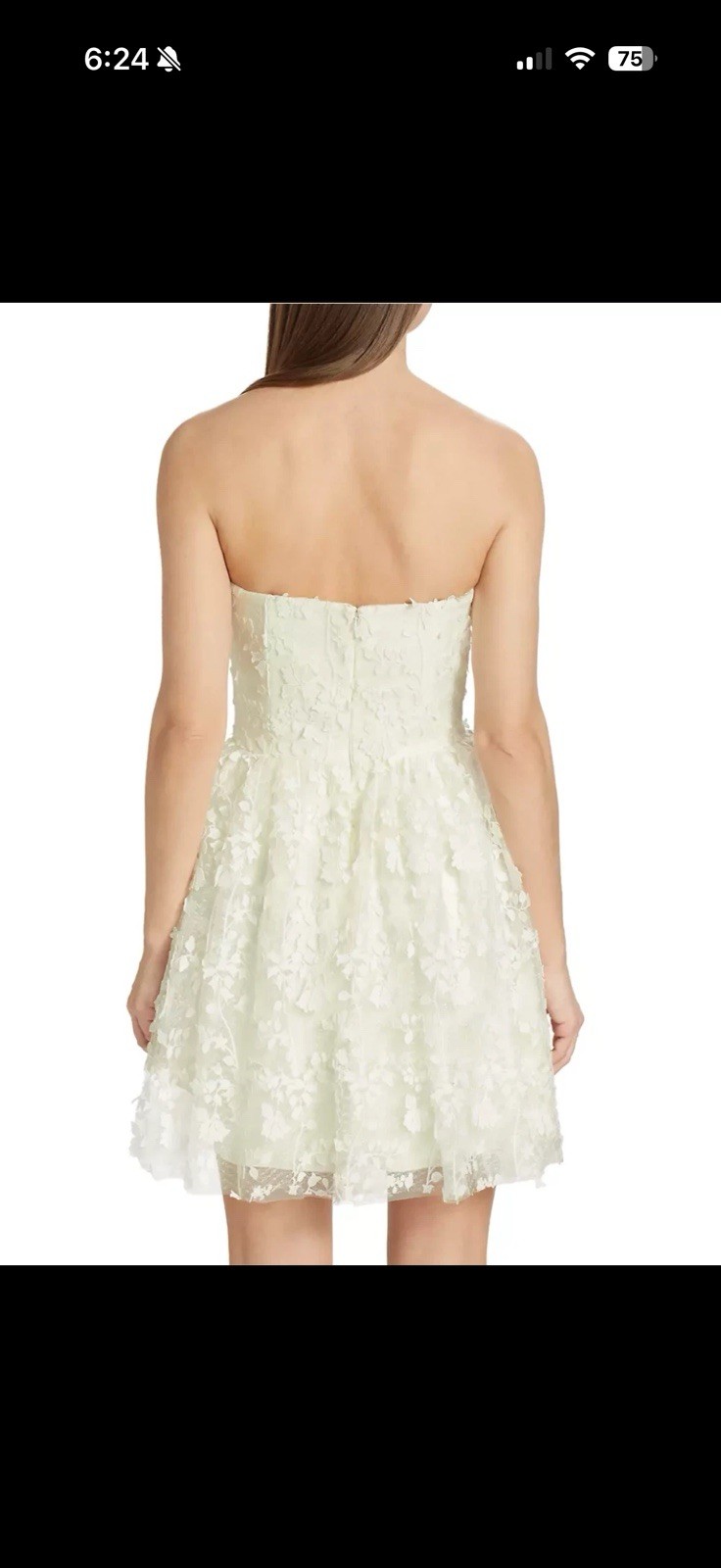 ML Monique Lhuillier Strapless Embroidered Tulle Minidress 8B 1689