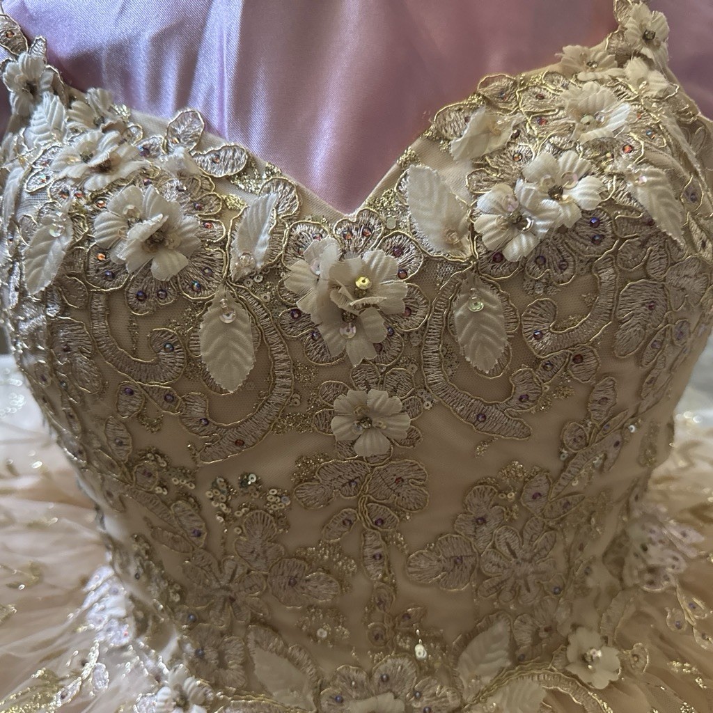 Dancing Queen Ivory/Gold Beaded Sequin Sweetheart Tulle A-Line Short Dress L