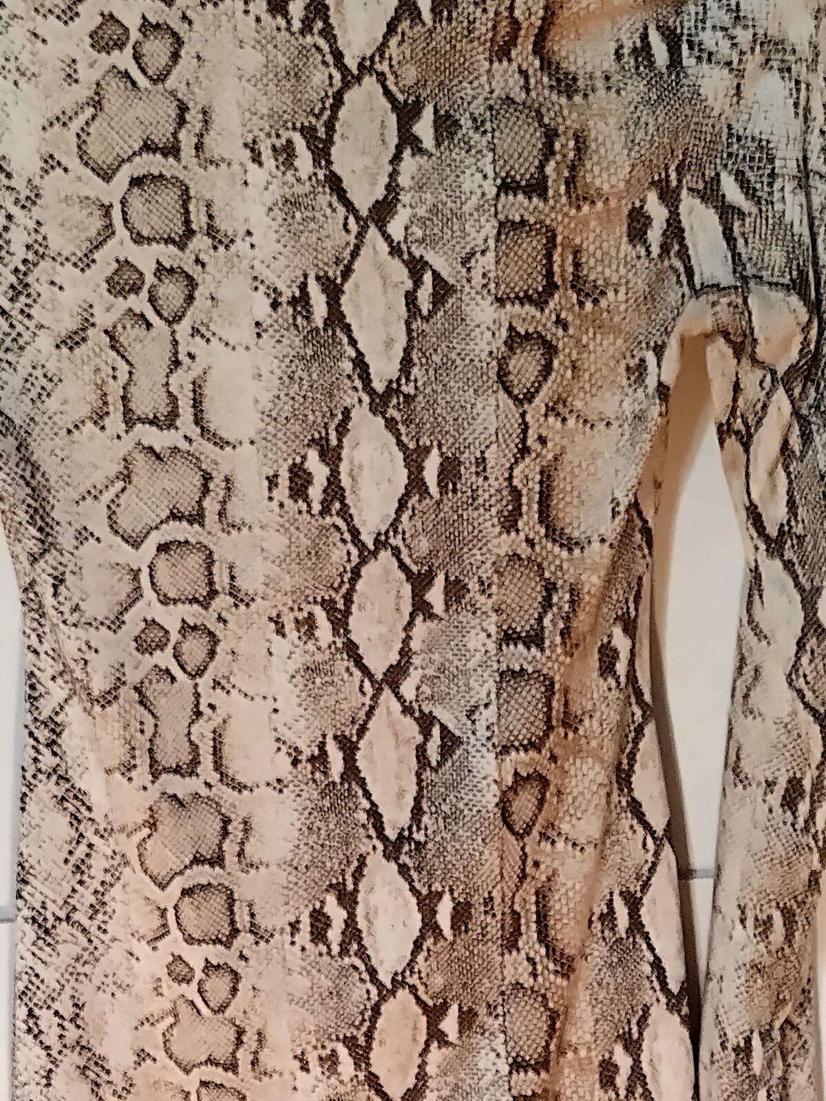 Glare Python Print Dress Long Sleeved With Thumb Holes At Cuffs Petit 30 Inches