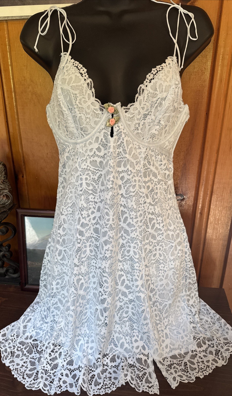 For Love And Lemons Creamsicle Baby Blue Floral Lace Slip Dress Buttons Rose
