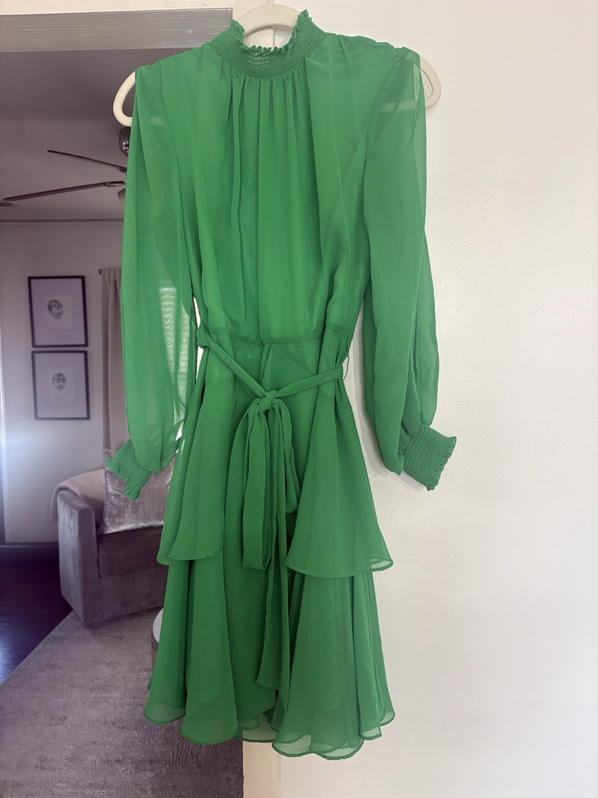 Alex Marie Green Chiffon Knee Length Long Sleeve Belted Ruffle A-Line Dress