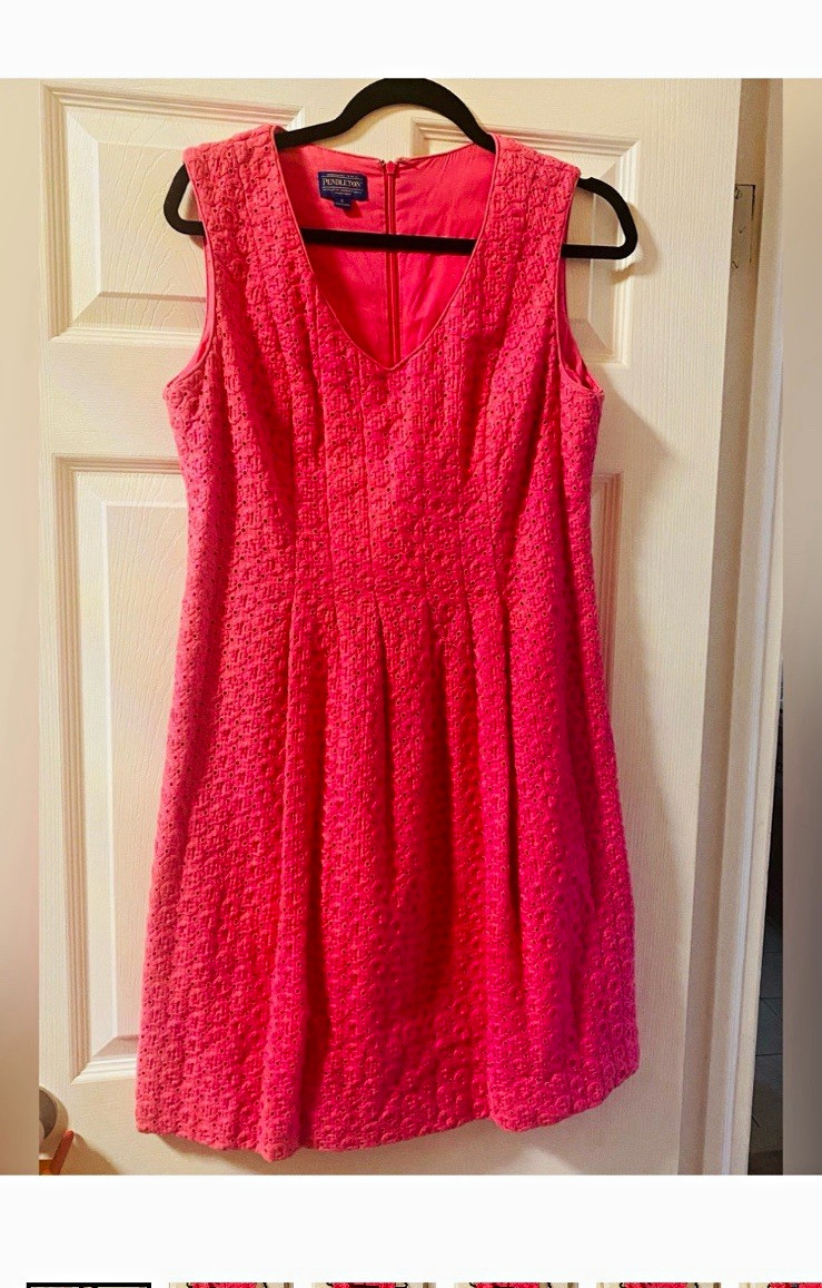 Pendleton Pink Lace Embroidered V-Neck Sleeveless A-Line Lined Dress size 8