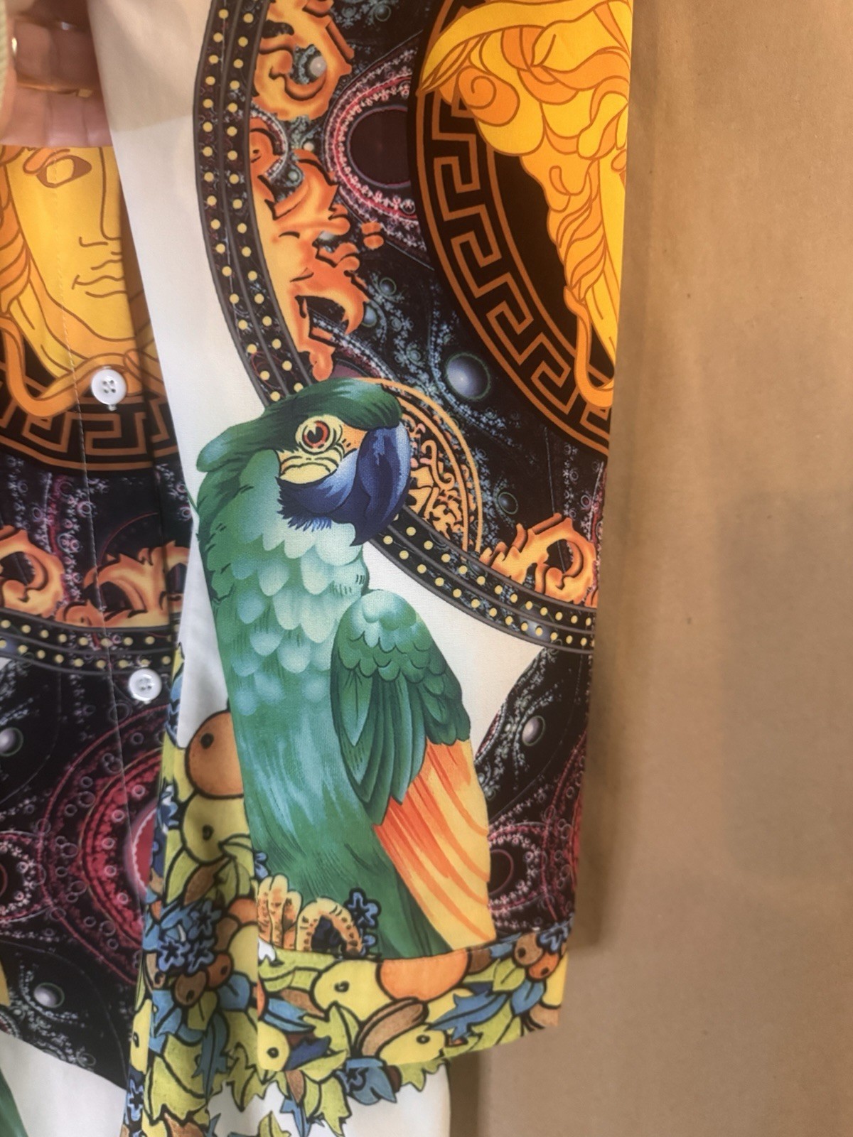 Medusa Parrots Cherubs fruit Super Soft Button Down Collared Shirt Dress 2XL