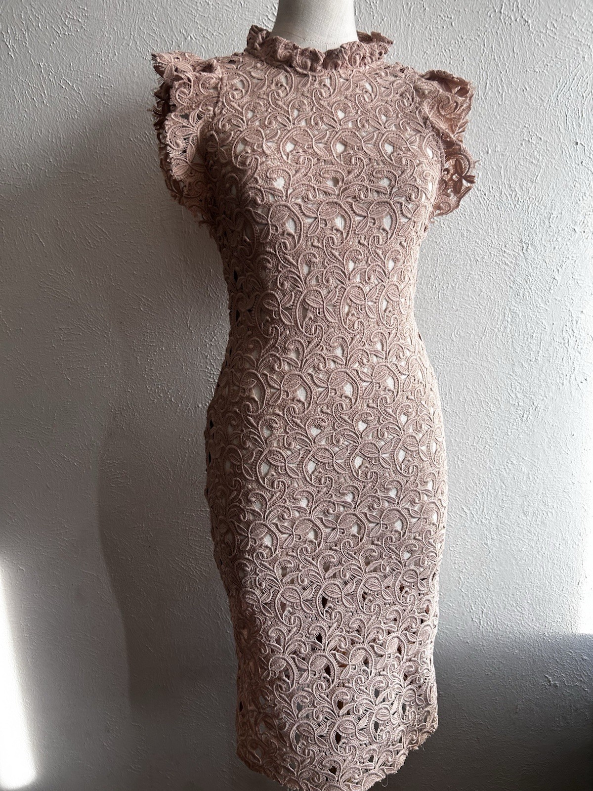 Zara Beige Fitted Lace Dress Zippered Sheer US Seller