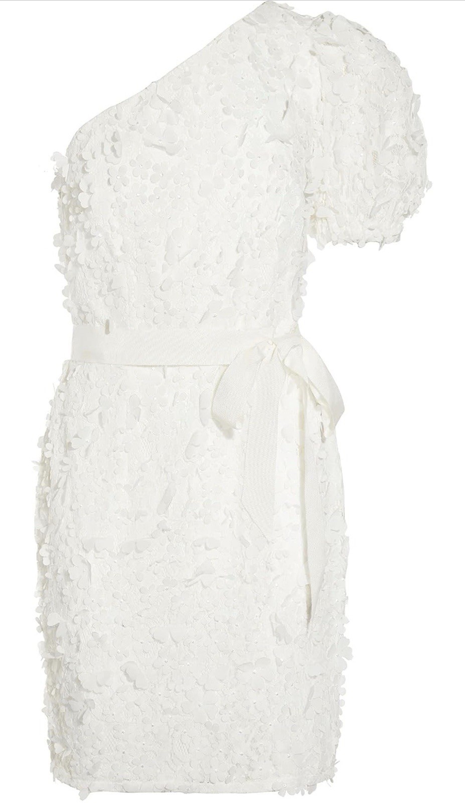 Adrianna Papell Ivory Embroidered Floral Lace Dress Size 16