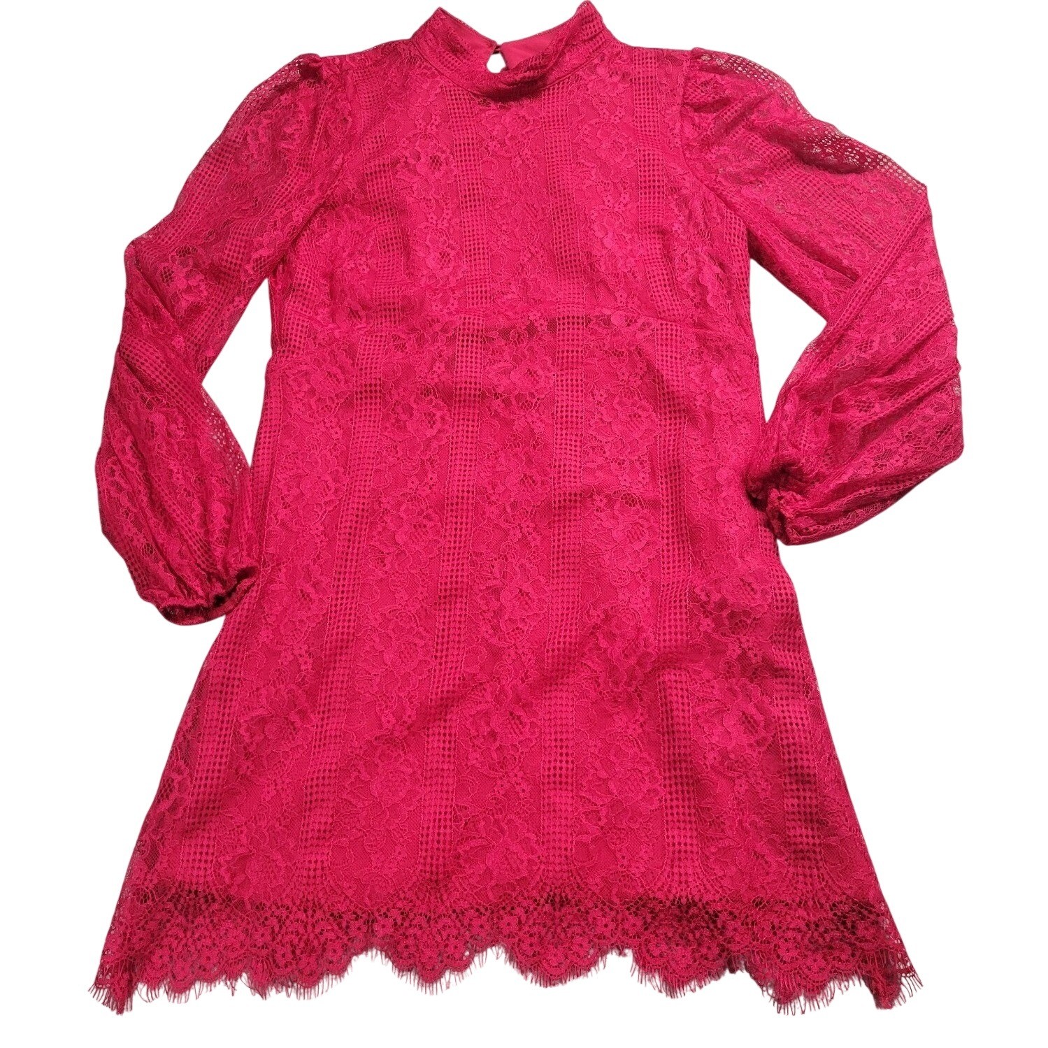 Maeve Anthropologie Raspberry Pink Lace Mini Dress Mock Neck Balloon Sleeve 6