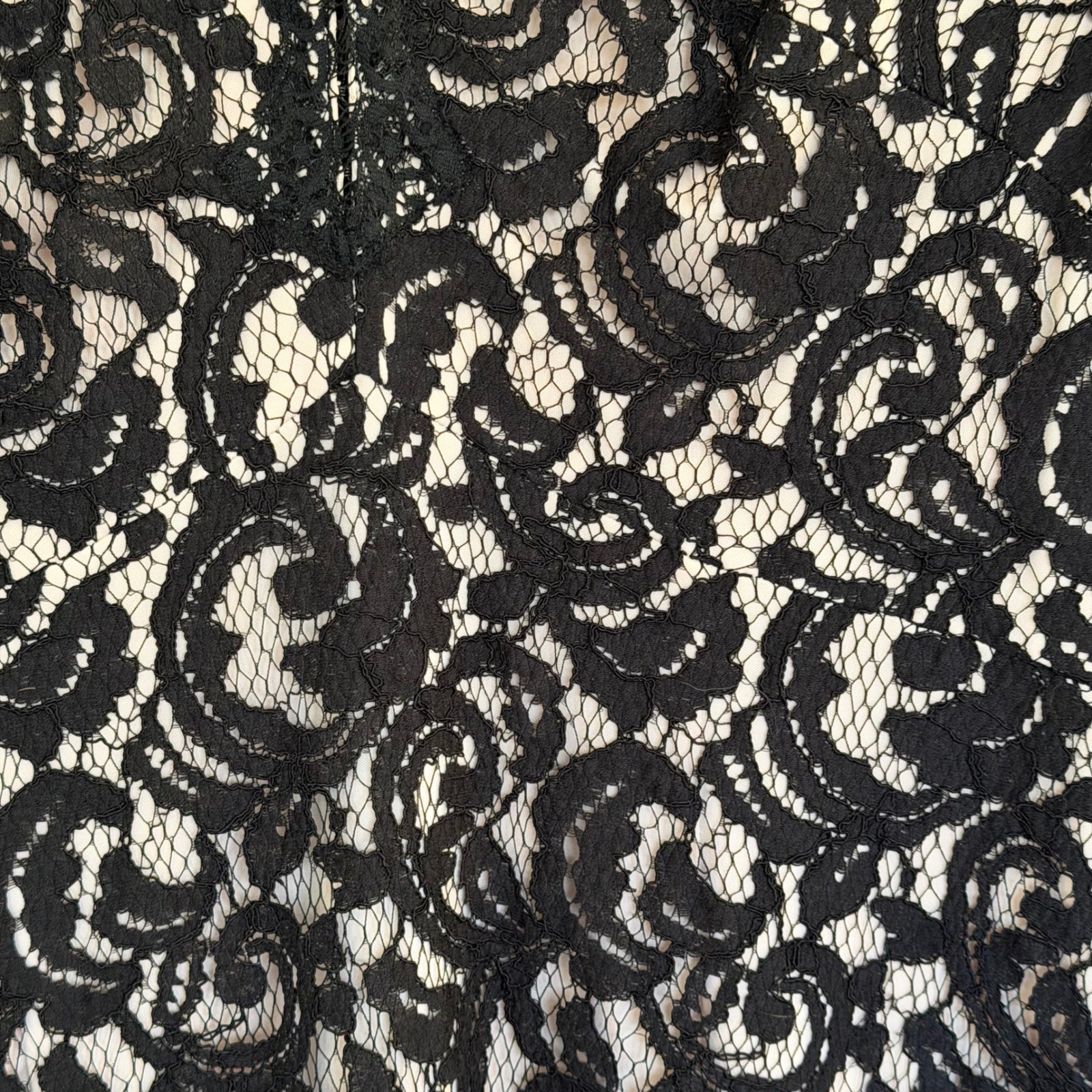 Tadashi Shoji Black Lace V-Neck Full Length Gown Size 6 Cap Sleeve Back Zip