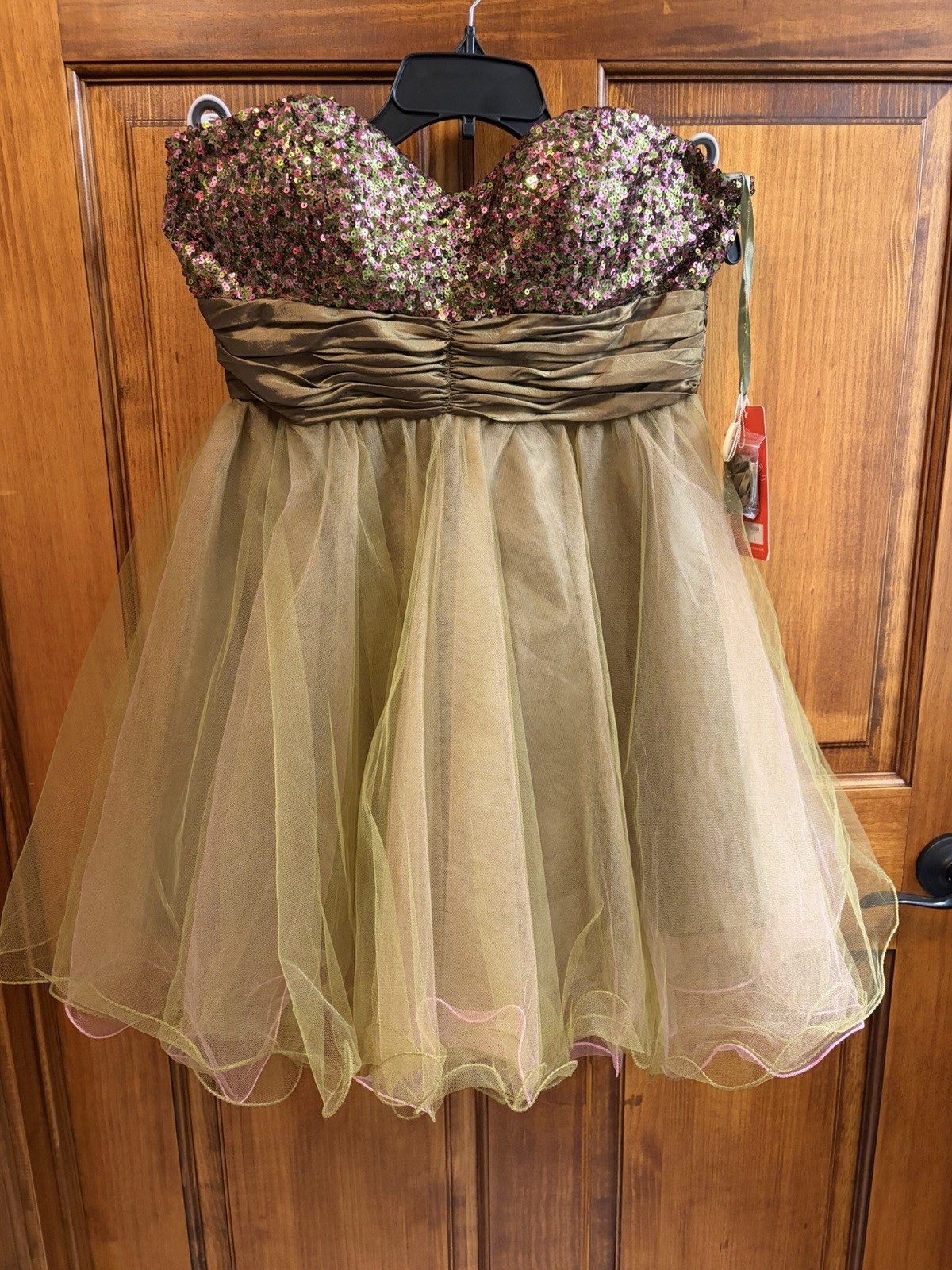 Dancing Queen Short Iridescent Layered Tulle Fit and Flare Formal Dress L – NWT