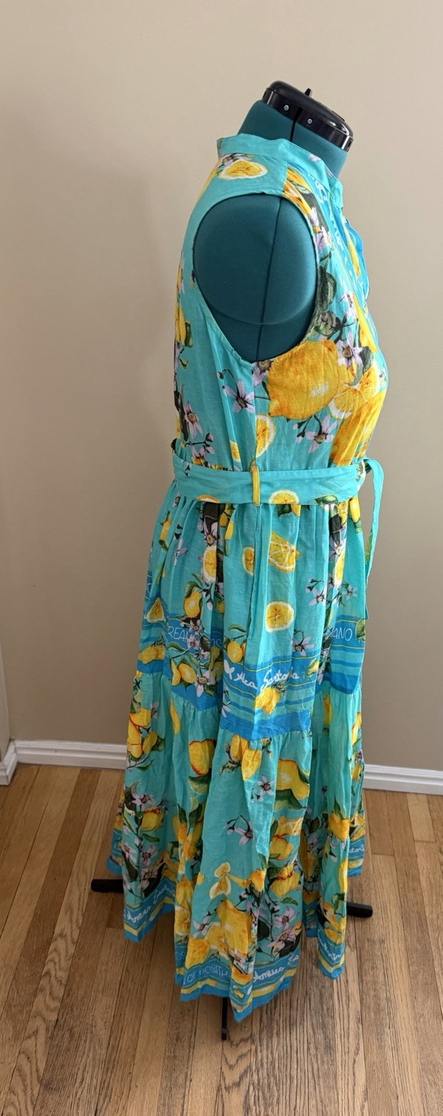 Antica Sartoria Positano 2026 Aqua Lemon Print Sleeveless Maxi Dress L/XL NWT