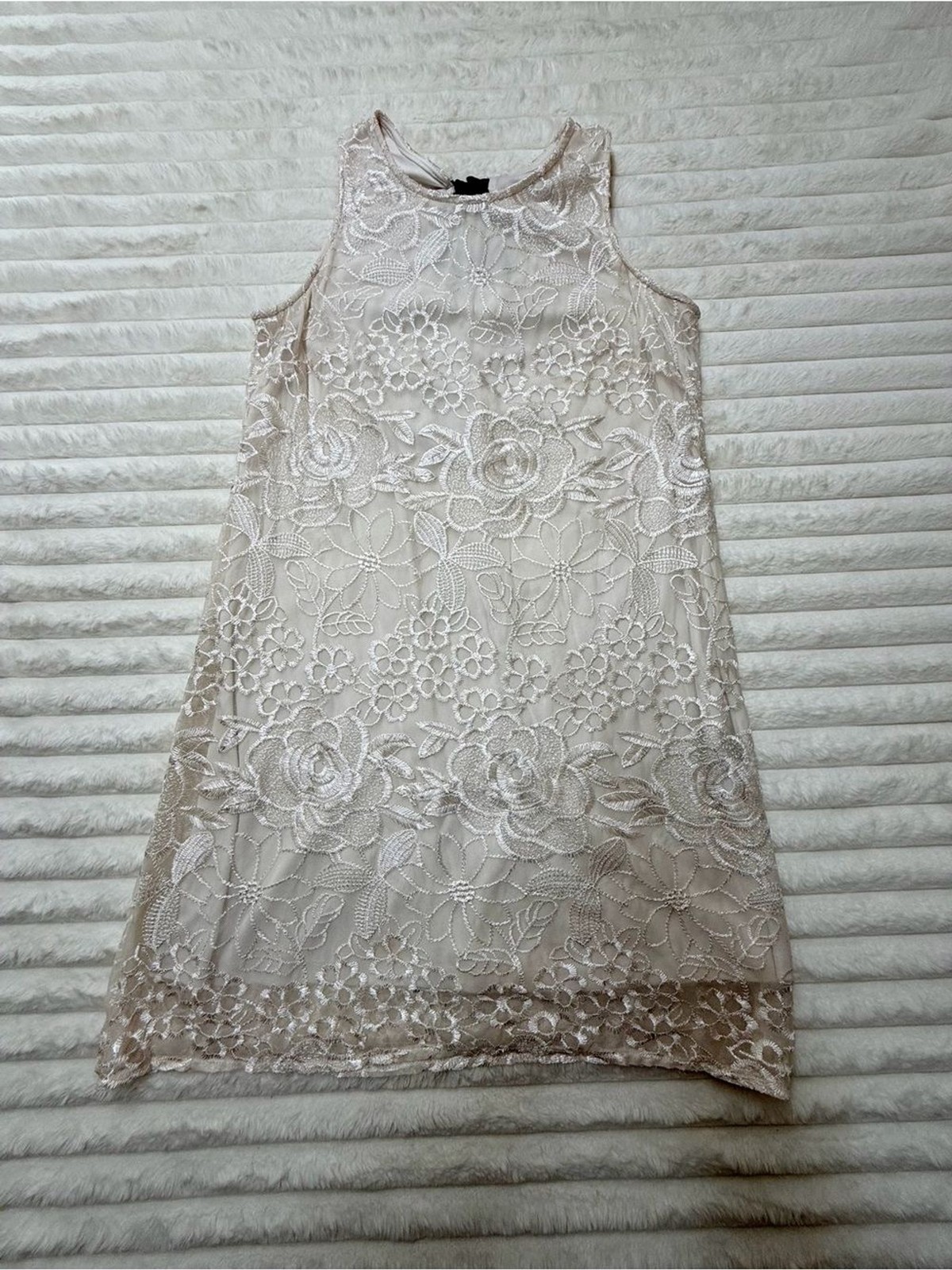 madison leigh Lace Overlay Mini Dress in Blush Cream