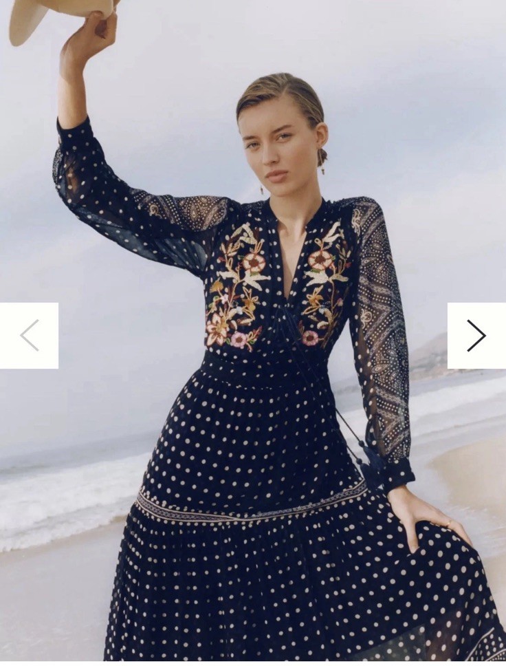Maeve Anthropologie Cassidy Embroidered maxi dress Sheer Florals Sz 10 Boho bead