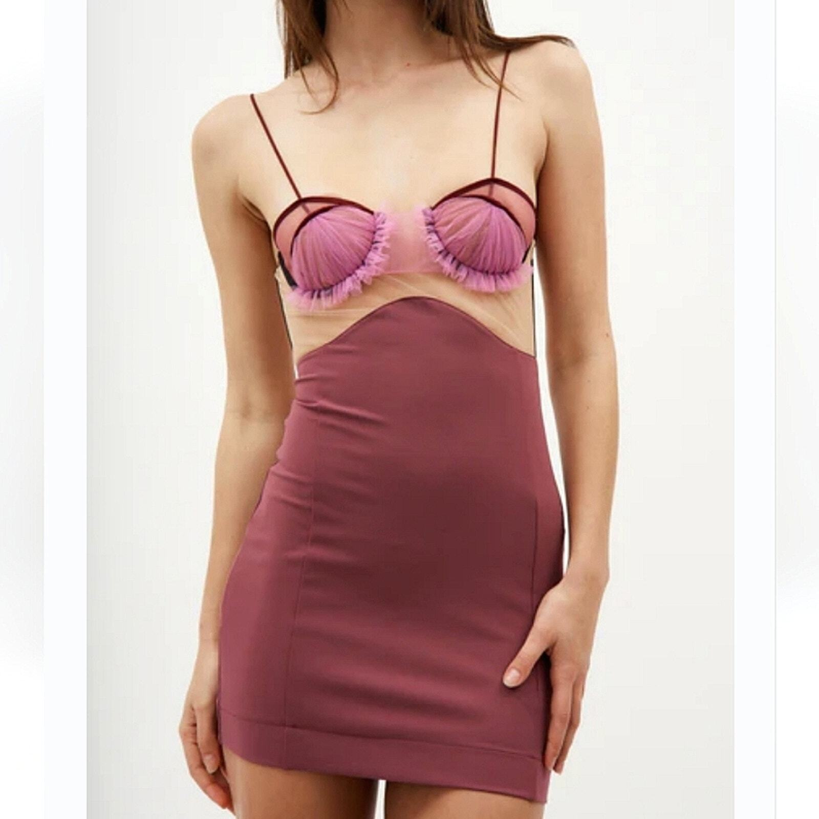 NWT$1,995 Nensi Dojaka Explosive Pink Flower Bustier Bra Crushed Berry Dress XS