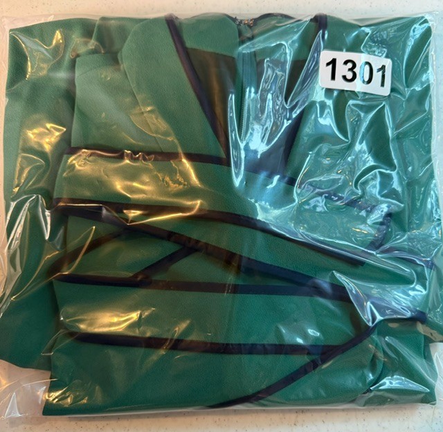 J.Crew A-Line Cap Sleeve Tie Neck Dress Women’s Size 8P Green Pleated Skirt NWT