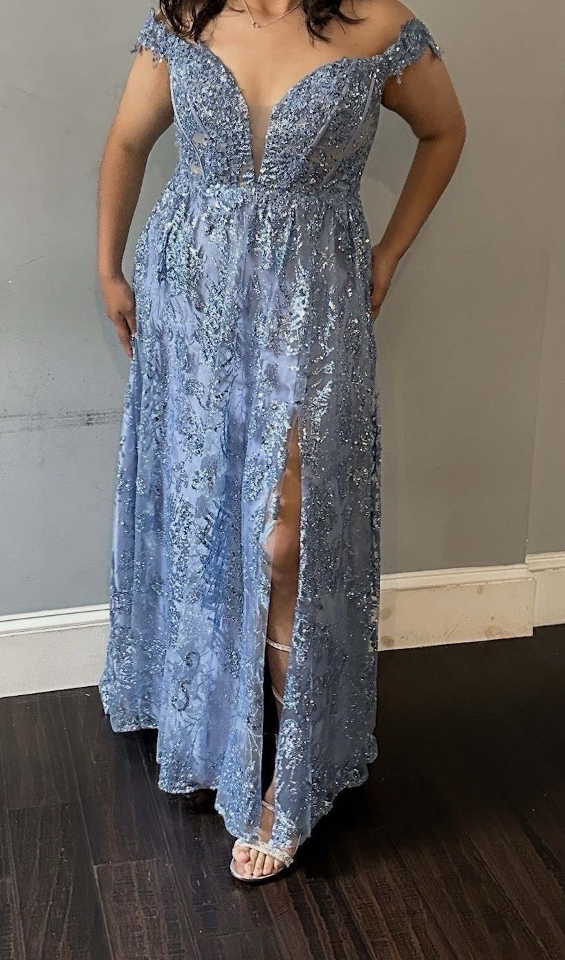 Cinderella divine Christmas dress size XL