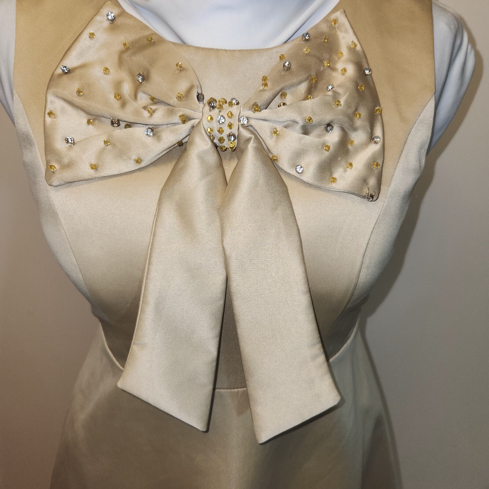 Lily House’s Party Dress