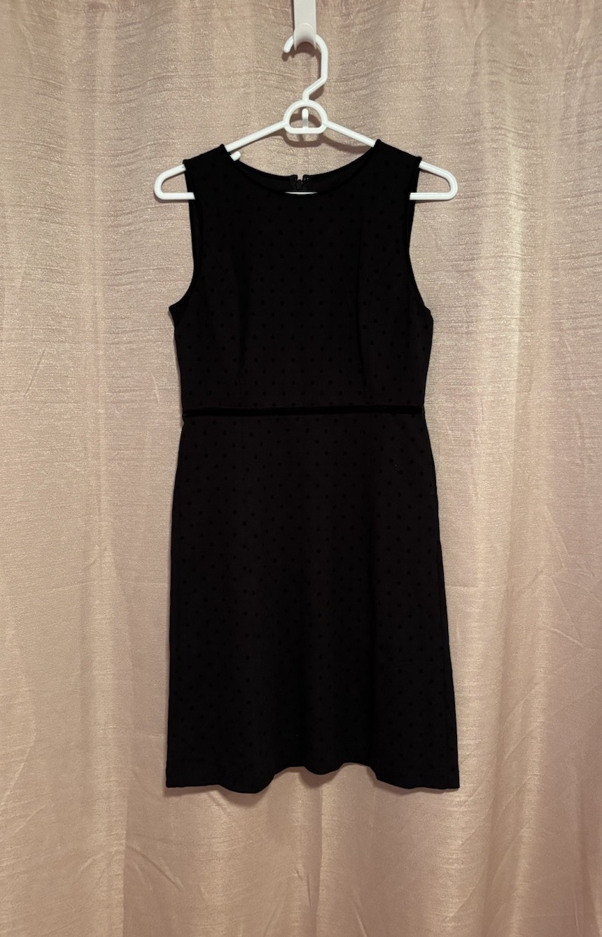 NWT Talbots Women’s 2 Black Polka Dot Rayon Blend Sleeveless Sheath Dress
