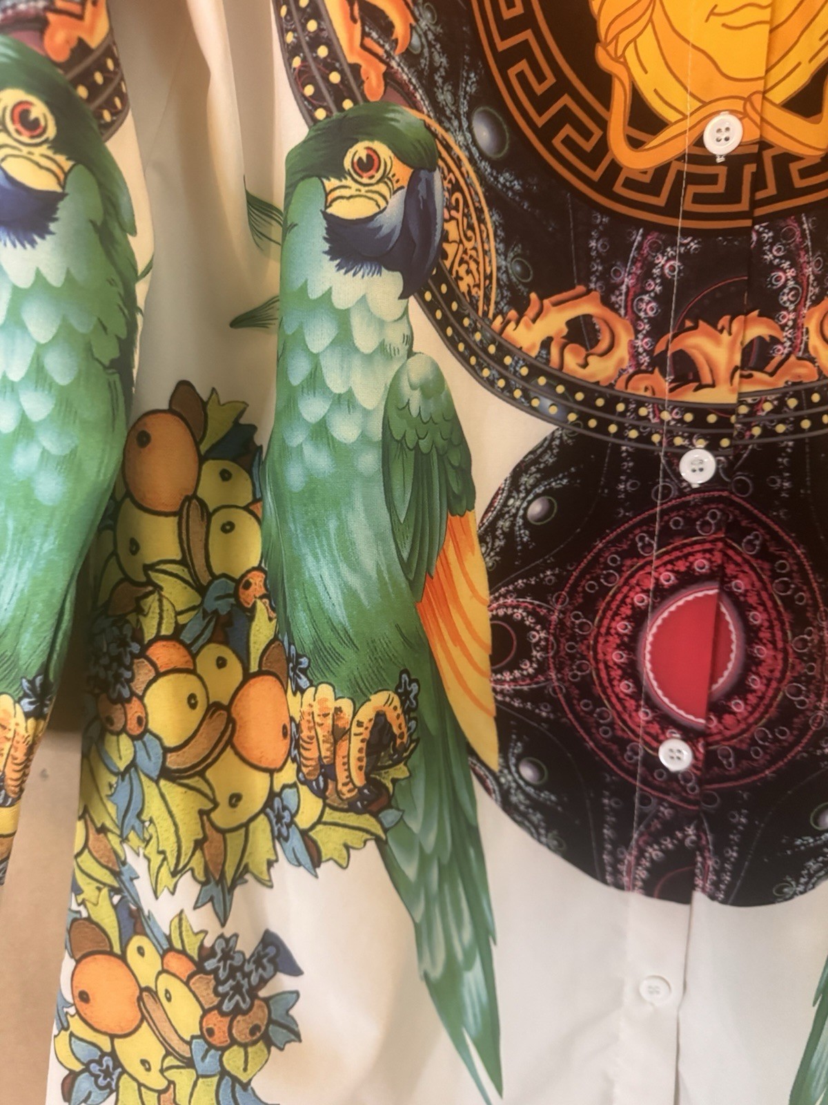 Medusa Parrots Cherubs fruit Super Soft Button Down Collared Shirt Dress 2XL