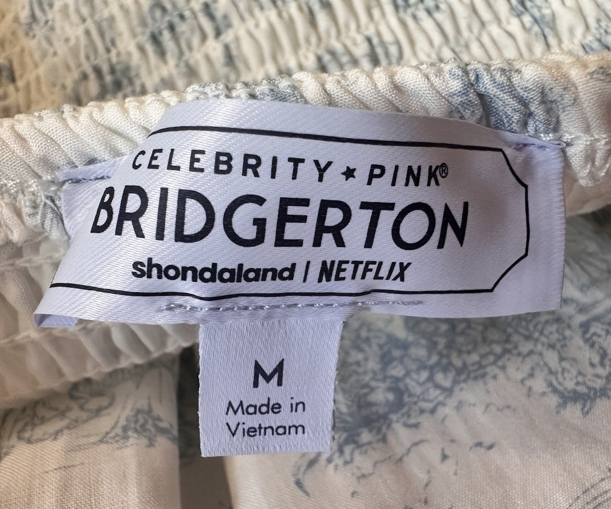 NWT Bridgerton Celebrity Pink Womens Basque Blue Toile Midi Dress Size M