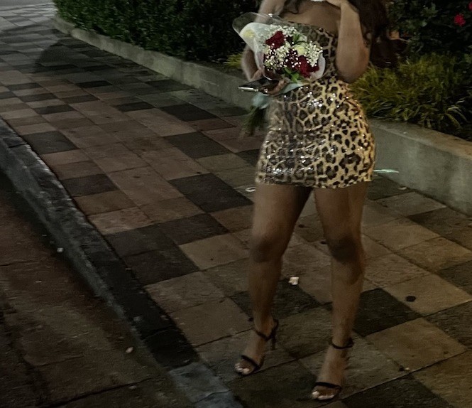 Women’s Strapless Leopard Sequin Stretch Mini Bodycon Dress Brown/Black/Gold S