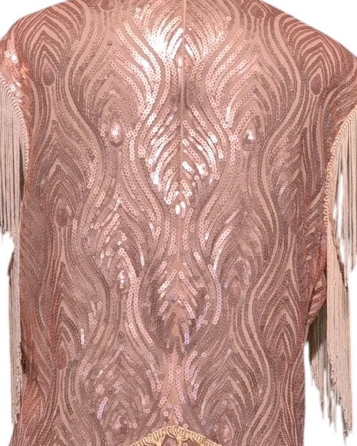 Babeyond Dress Tango Fringe Sassy Sequins Party Cocktail Club Fashion XXXL