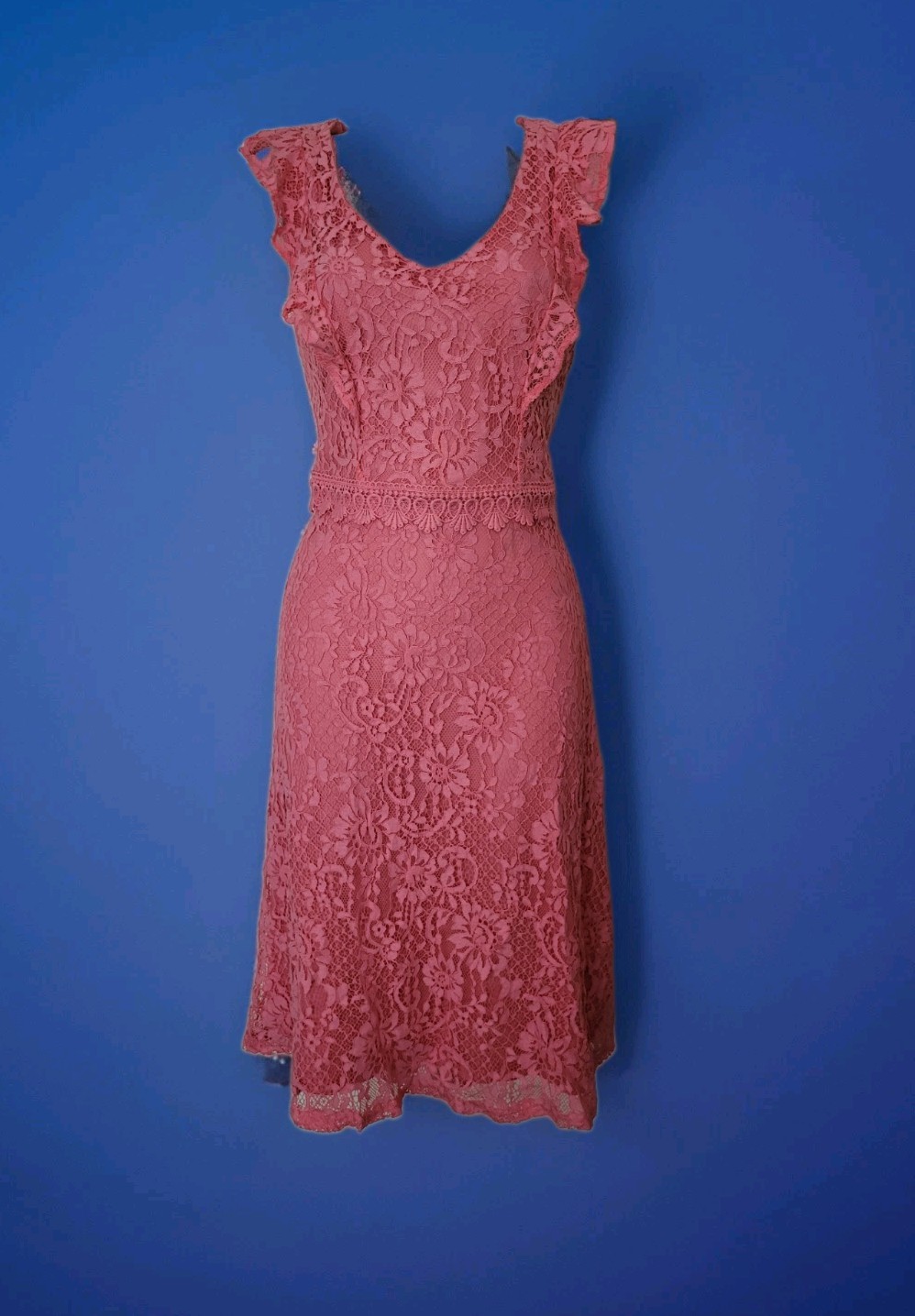 Dorothy Perkins Pink Lace Embroidered Party Wedding Occasions Dress UK Size 14