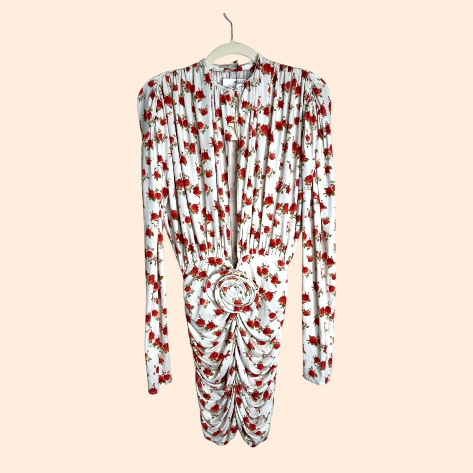 Magda Butrym Ruched Printed Rose Mini Dress