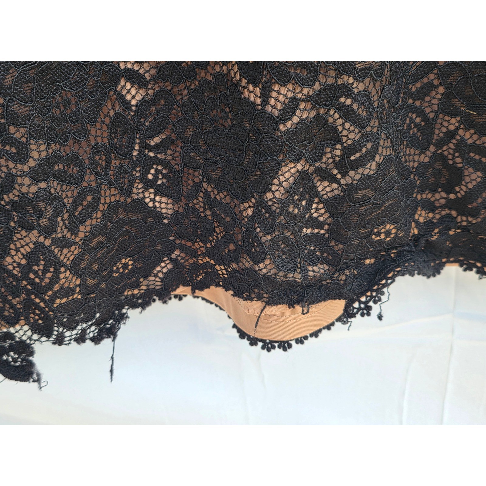 Gentle Fawn Hannah Black Lace Long Sleeve Open Back Mini Dress Small F2410-8707