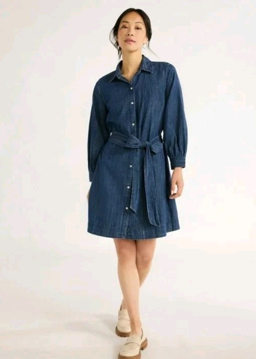 Womens Free Assembly Long Sleeve Shift Denim Dress Indigo Wash Size L. CB1