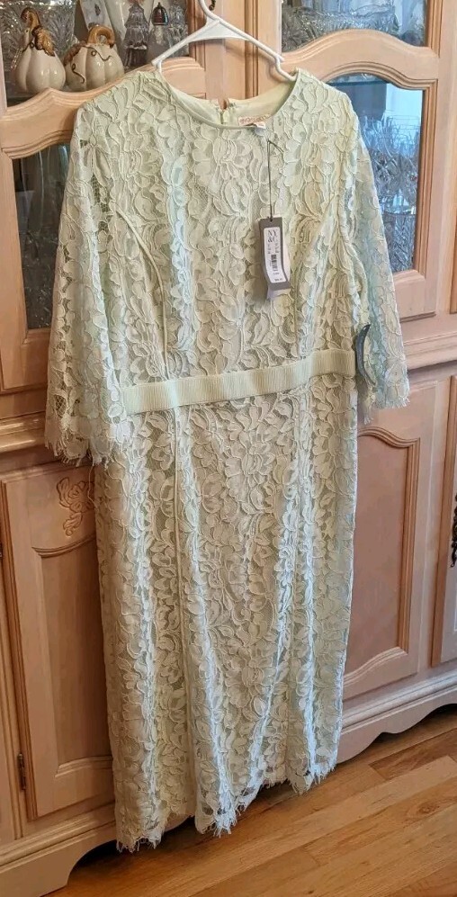 Nwt eva mendes dress xl For New York & Co Lace Light Pastel Green