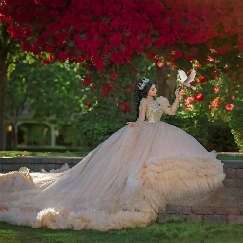Champagne Tulle Ruffels 15 Dress Quinceanera Ball Gown Long Sleeve Quince Dress