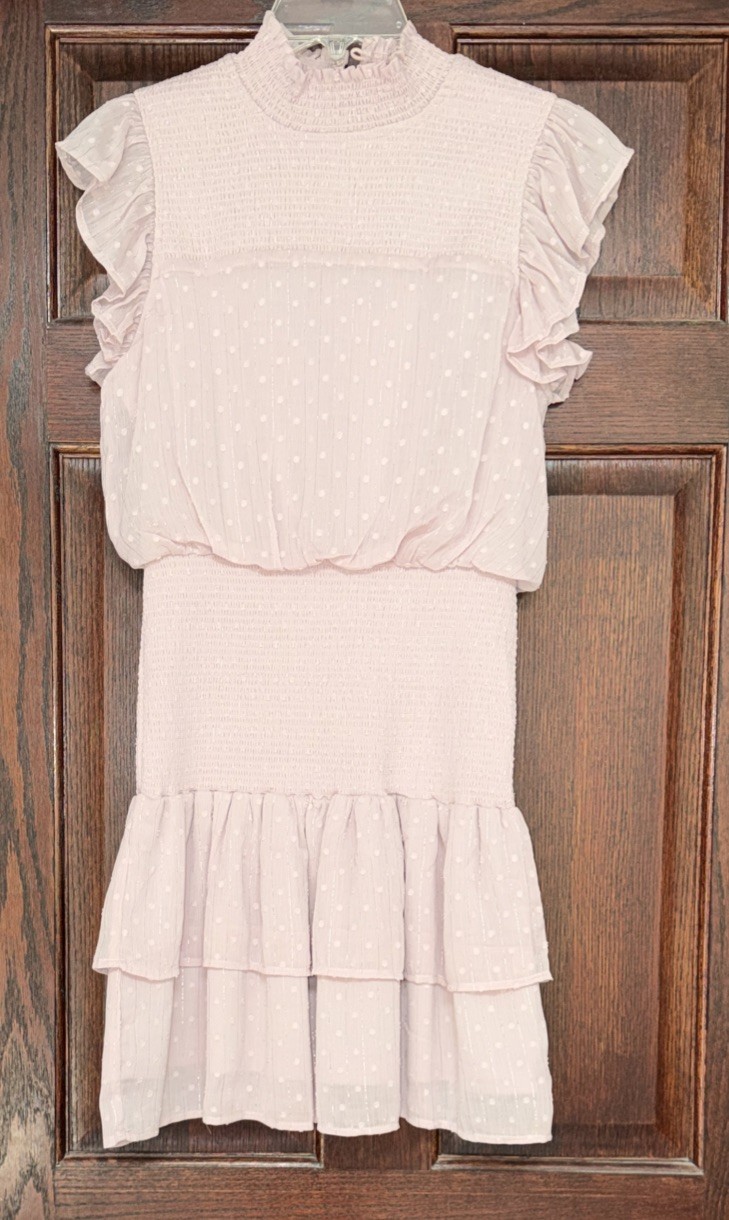 AQUA Swiss Dot Smocked Ruffle Mini Dress Shimmer Pink Size S Bloomingdales EUC