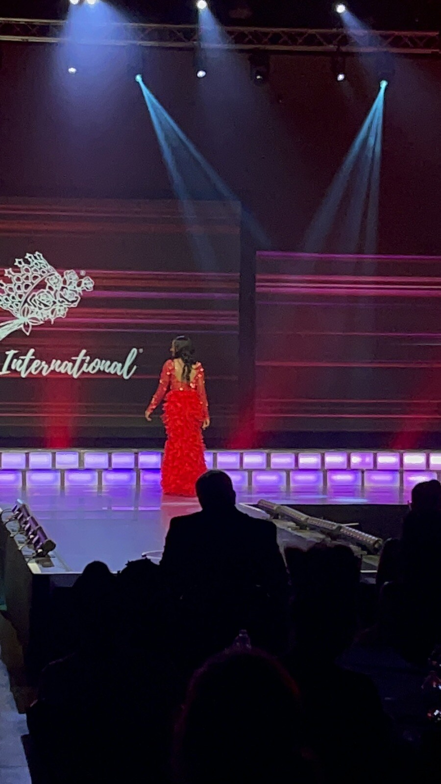 Beautiful Red Custom Sequin & Feather Gown