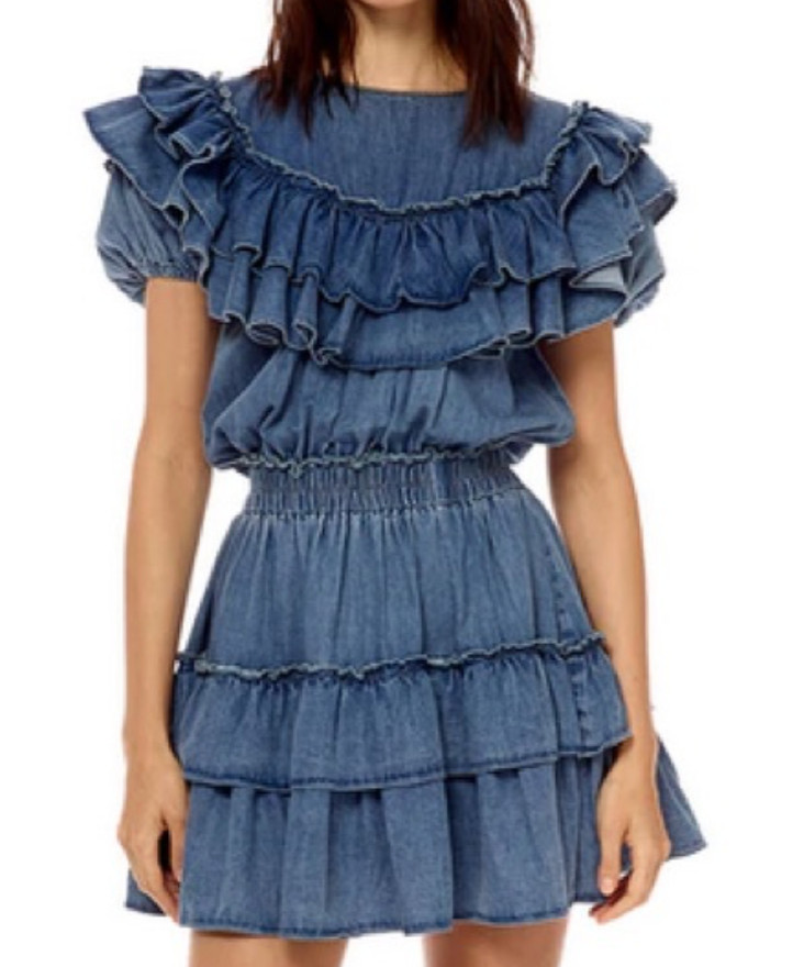 Stellah Chambray Denim Ruffle Dress Smocked Waist Coastal Cowgirl Western Sz S