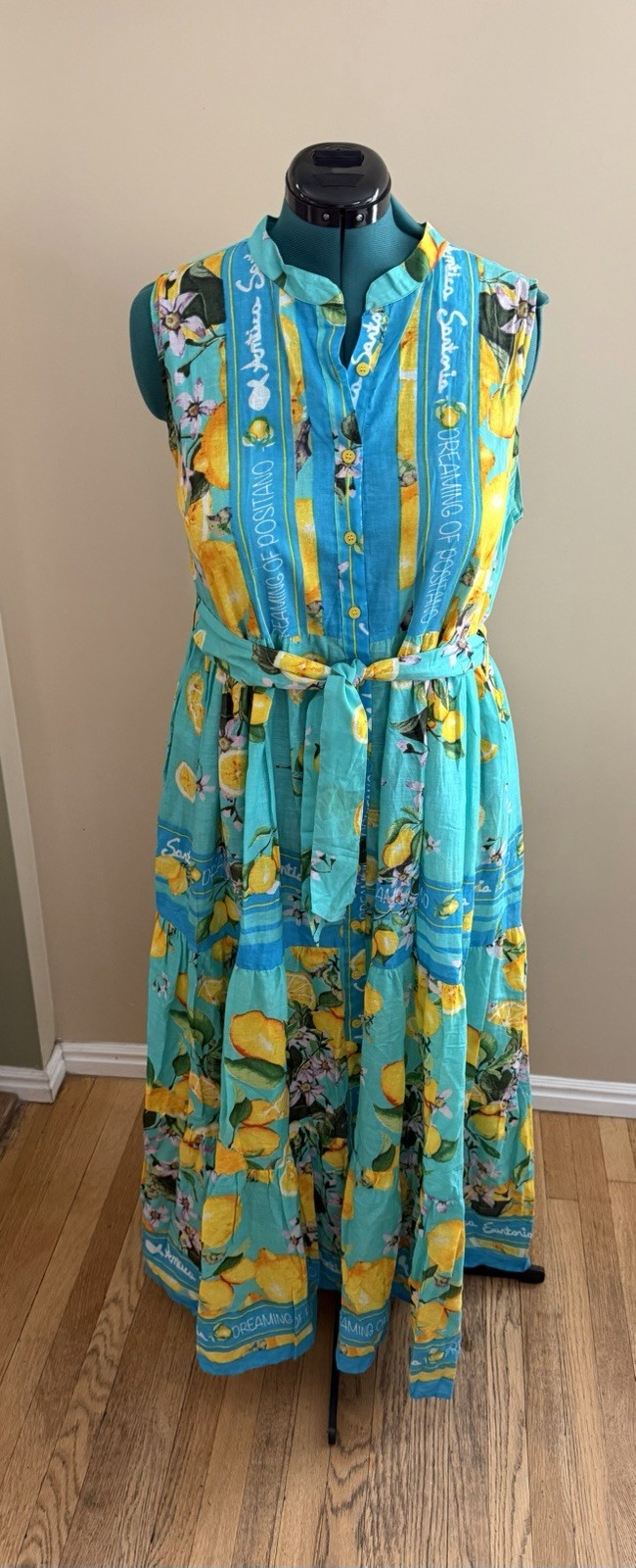 Antica Sartoria Positano 2026 Aqua Lemon Print Sleeveless Maxi Dress L/XL NWT