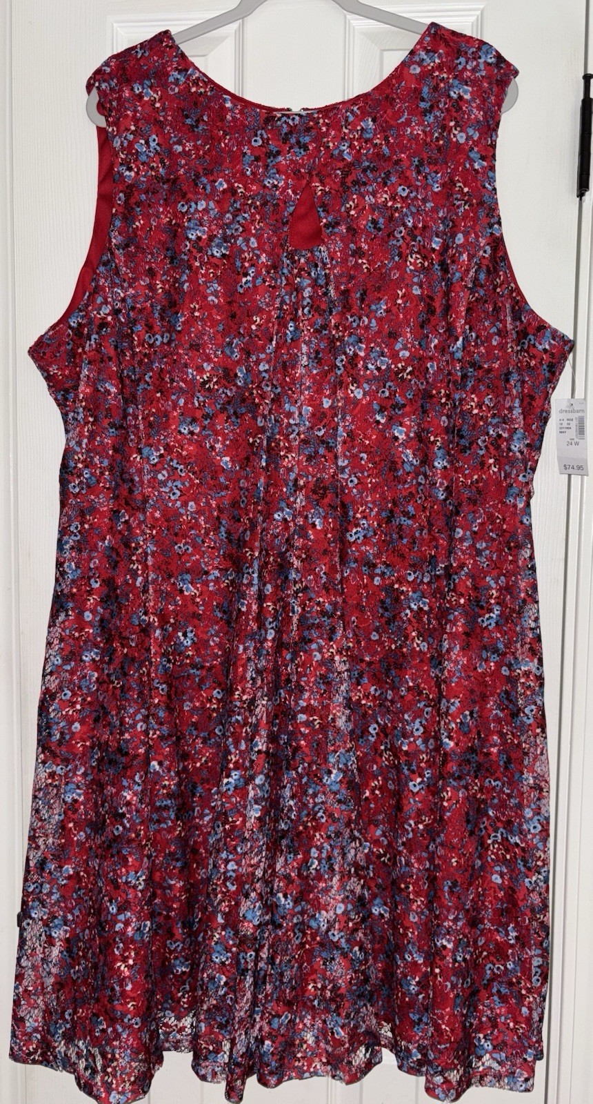 Roz & Ali Sleeveless Fit & Flair Dress Women’s Plus Size 24w Floral Lace Lined