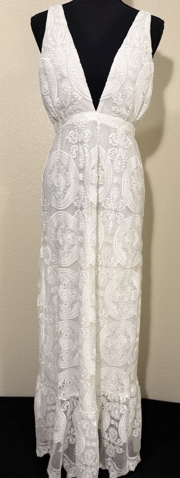 Nasty Gal Size 4 White Lace Maxi Dress Plunge V Neck Fully Lined Side Zip NWOT