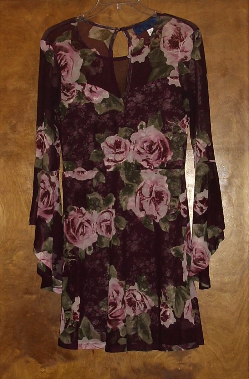 Francescas’ Blue Rain Floral Mesh Overlay Bell Sleeve Dress, Sz S Burgundy Mini