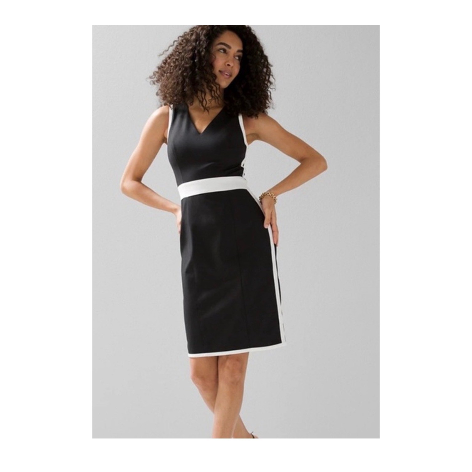 WHBM Colorblock Sheath Dress Size 0 NWOT Office Siren Quiet Luxury