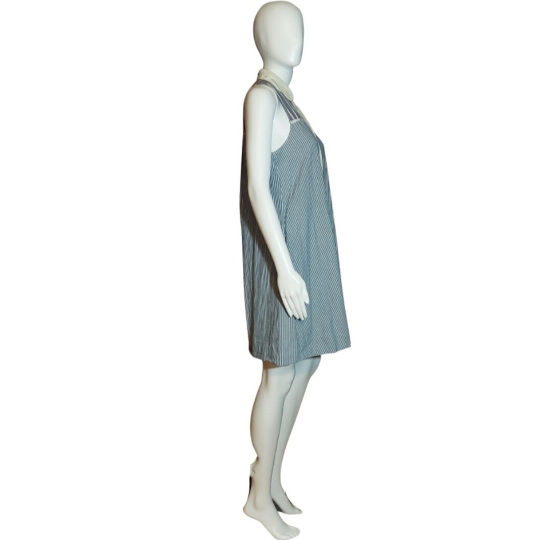 Rag & Bone Sleeveless Hidden Button Striped Shirt Dress With Pockets Size XS