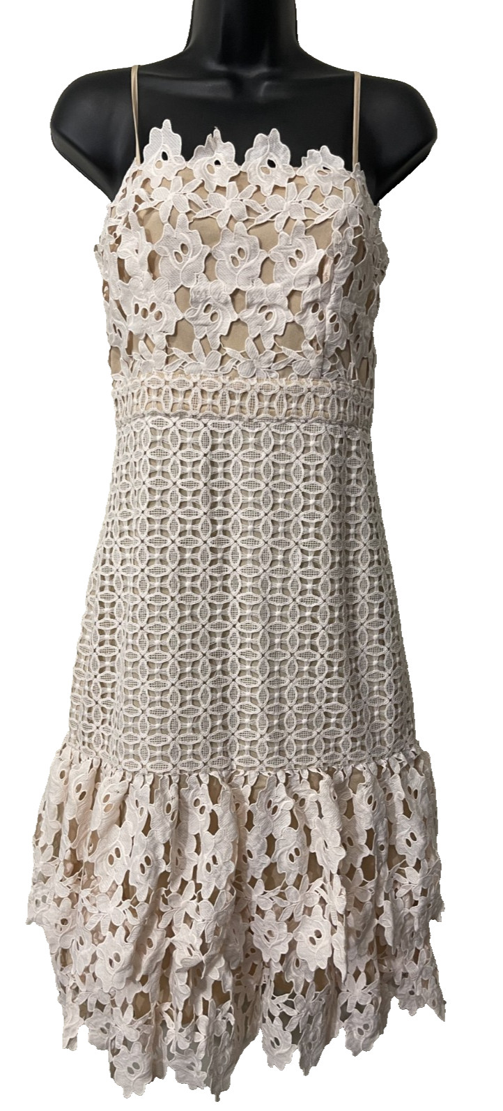 NWT Champagne & Strawberry Vernon Lace Midi Dress Ivory Small $119