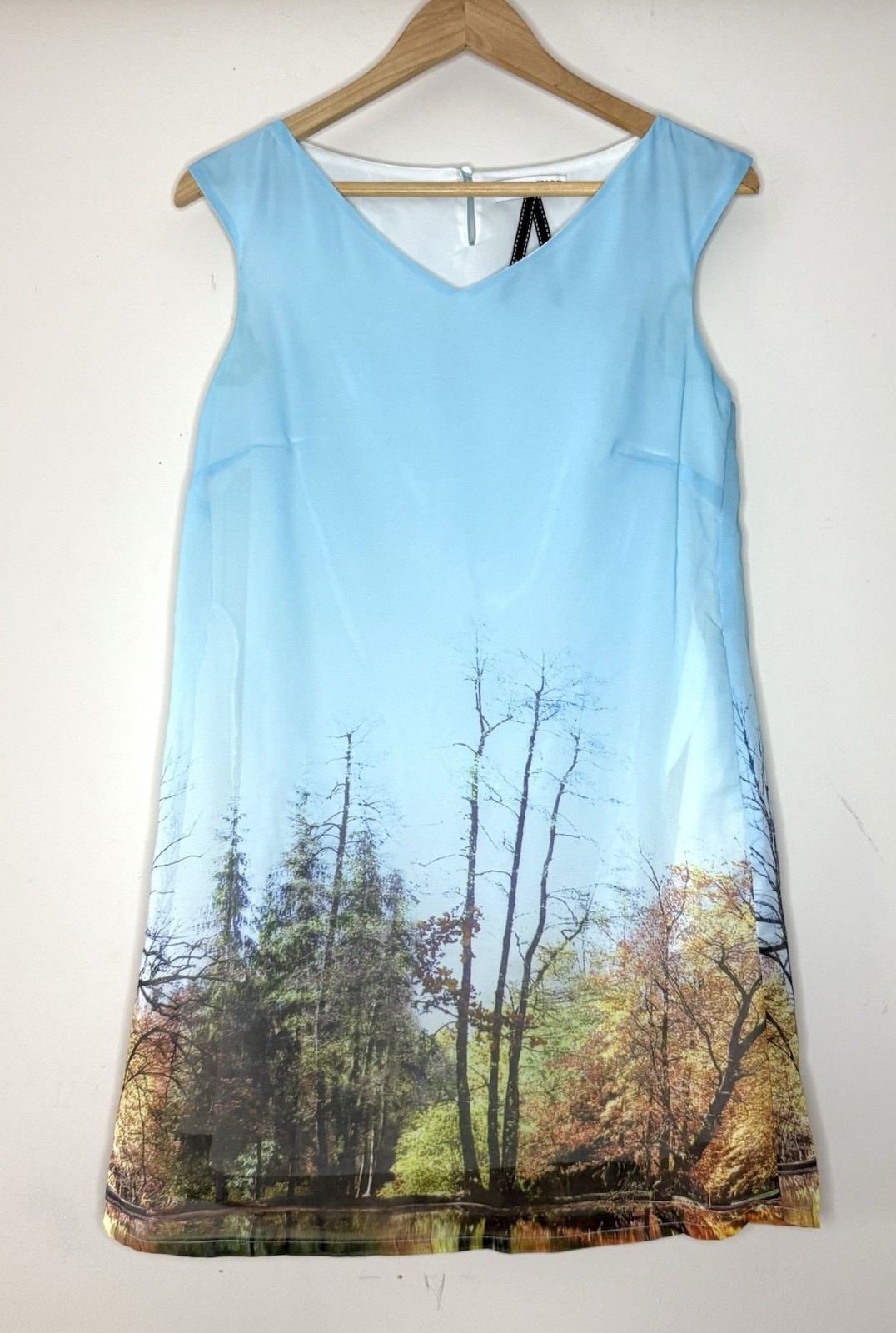 Frock Shop Dress SMALL Landscape Print Autumn Water Sky Shift Knee Pockets Sheer
